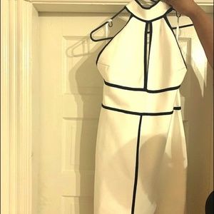 Bebe Backless Halter Mini